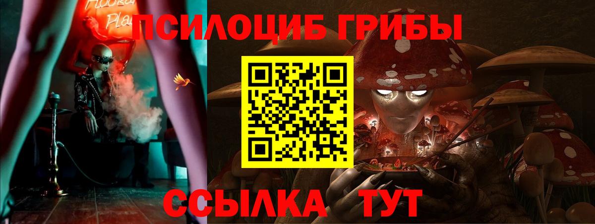 Салехард  Псилоцибиновые грибы ЛСД  Вход с VPN 